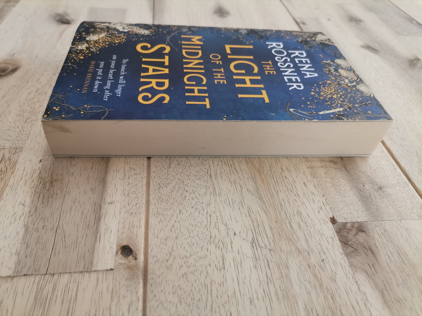 The Light of the Midnight Stars – Rena Rossner