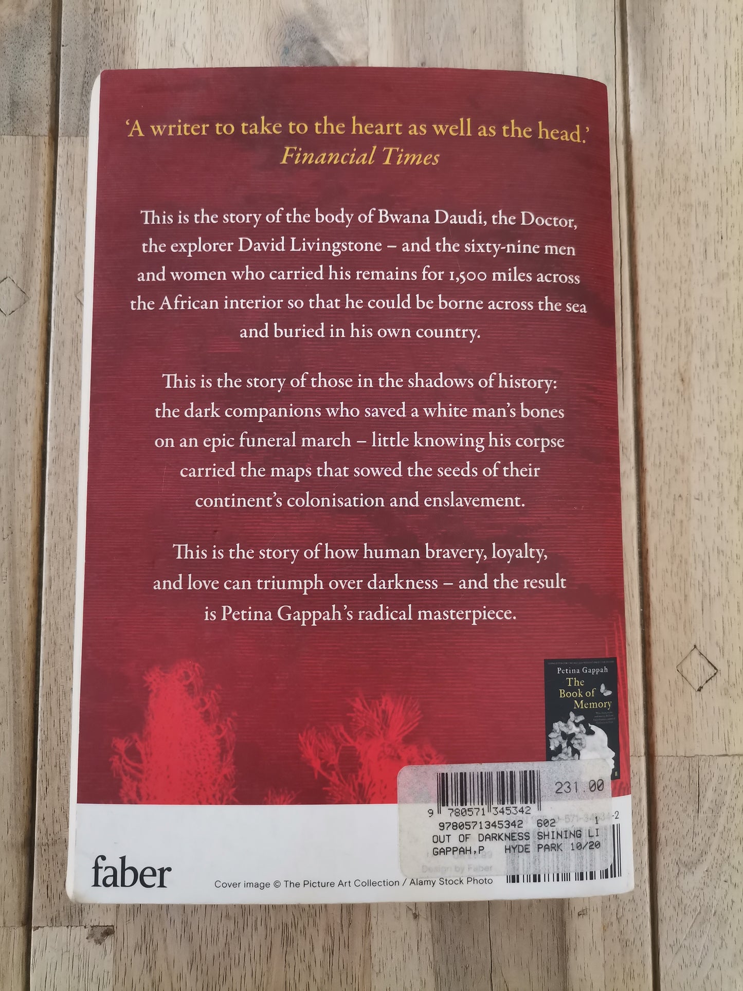 Out of Darkness, Shining Light by Petina Gappah
