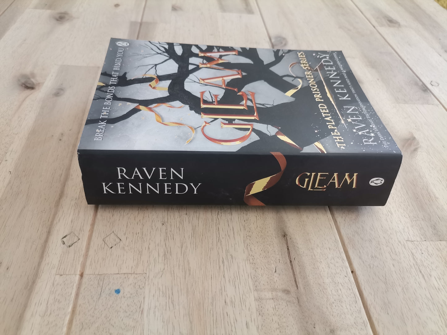 Gleam – Raven Kennedy