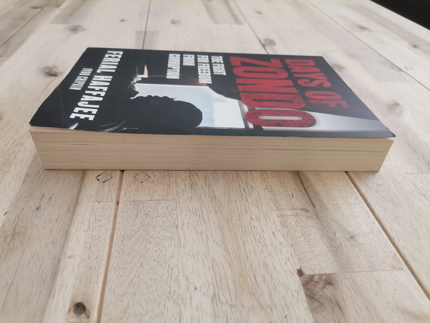 Days of Zondo – Ferial Haffajee (ed.)
