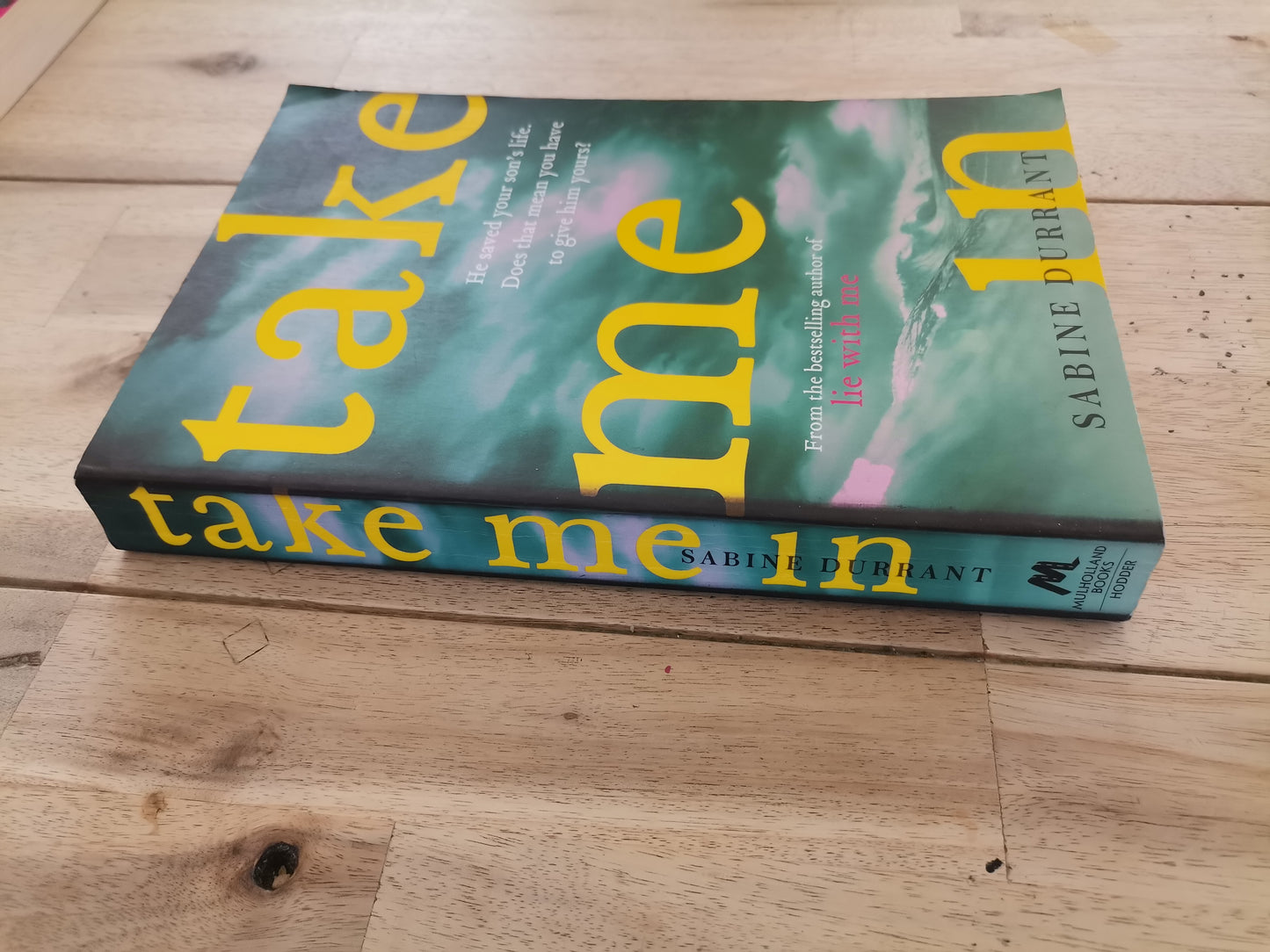 Take Me In by Sabine Durrant