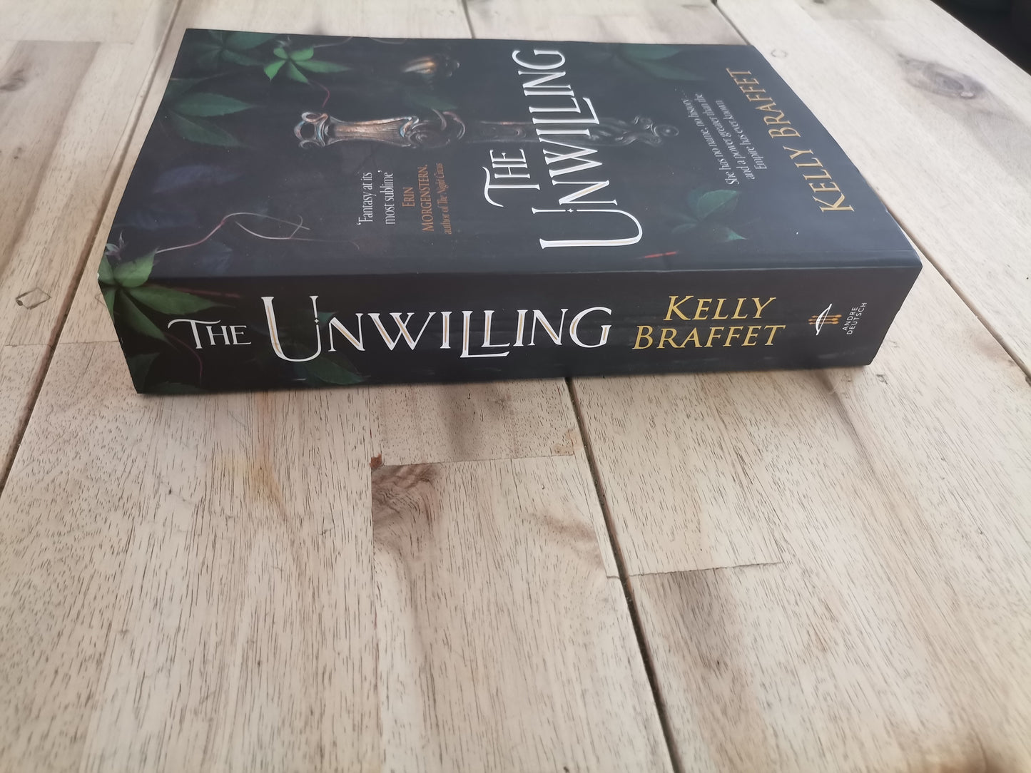 The Unwilling – Kelly Braffet