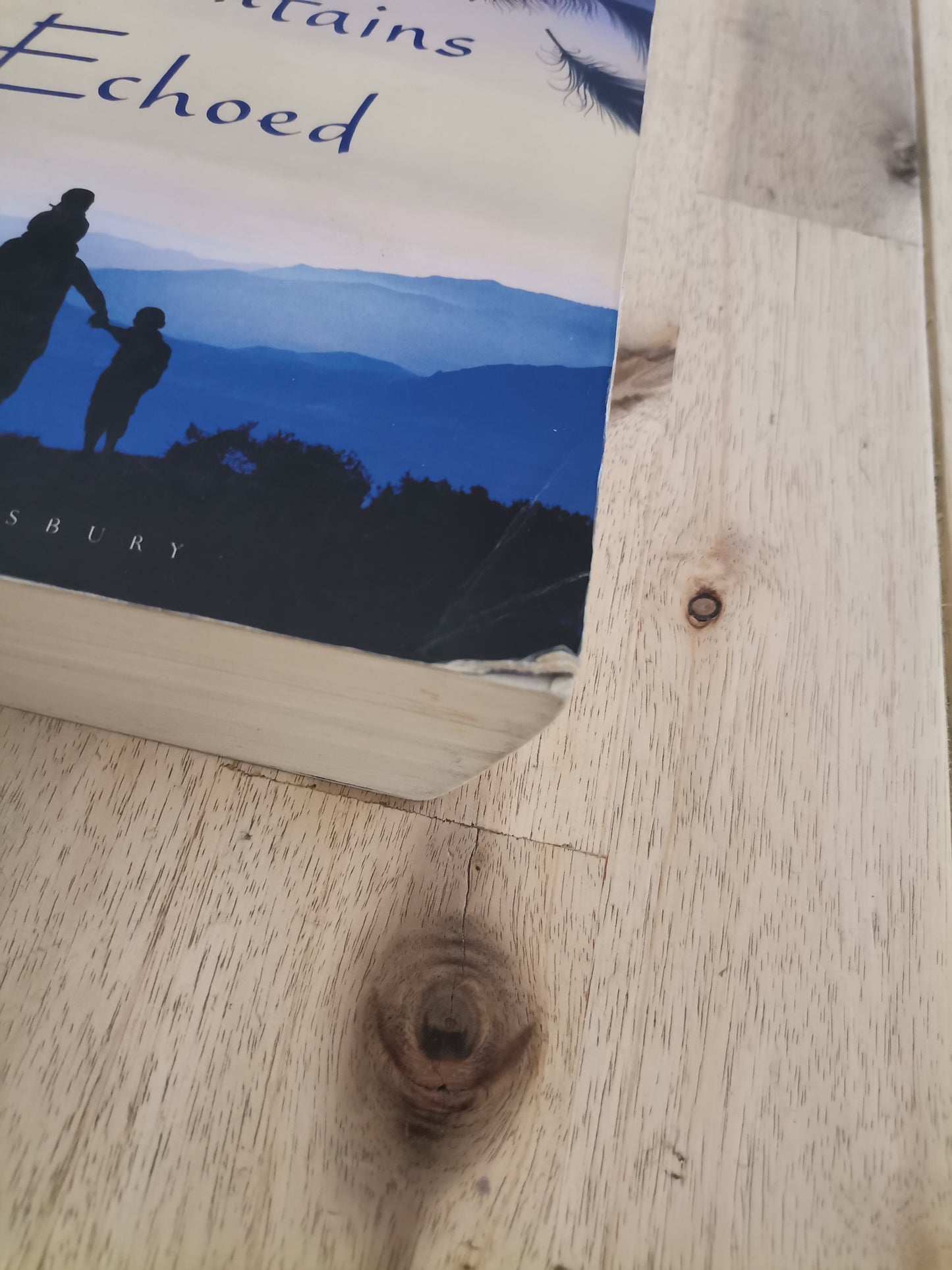 And the Mountains Echoed – Khaled Hosseini
