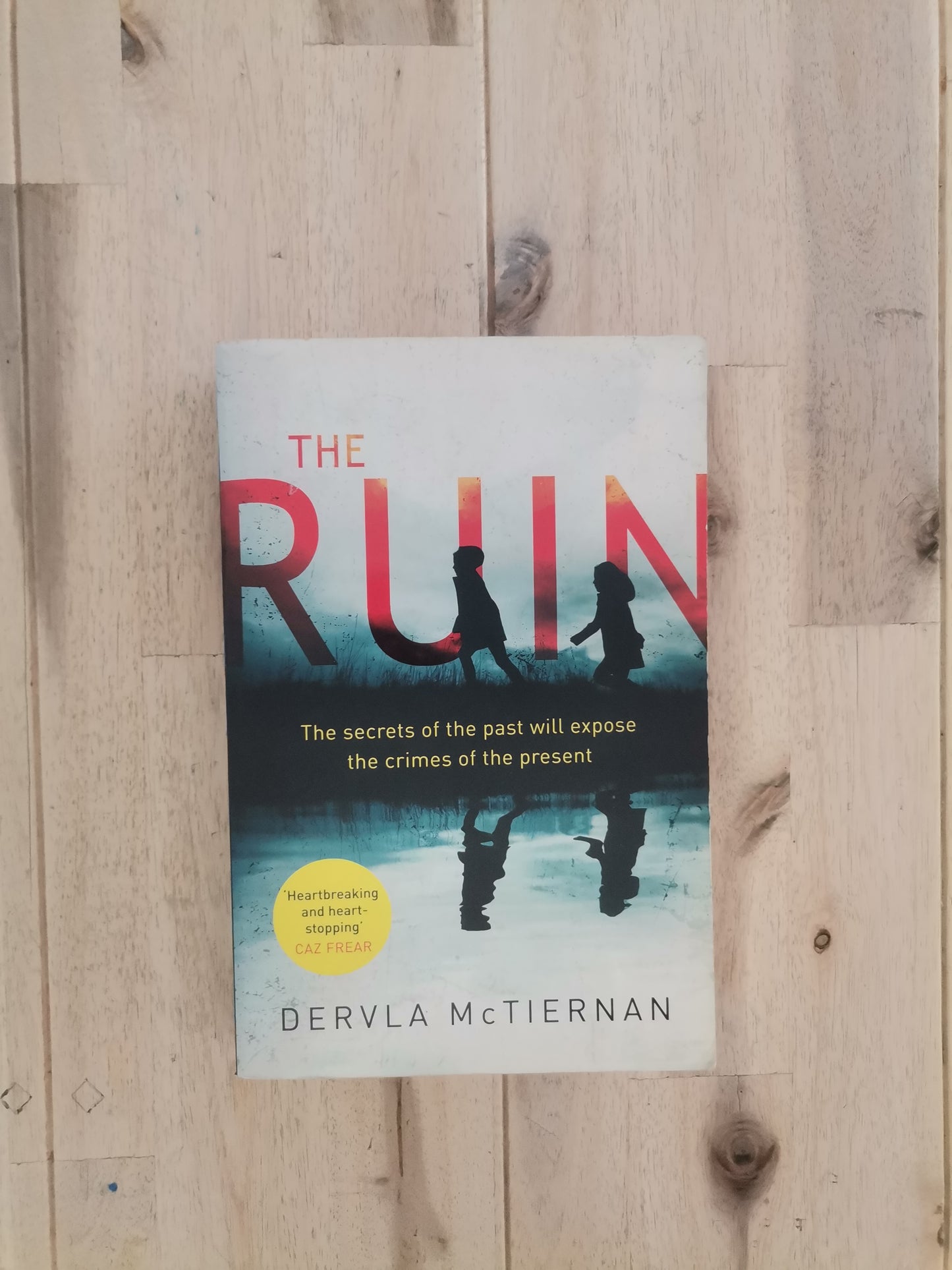 The Ruin – Dervla McTiernan