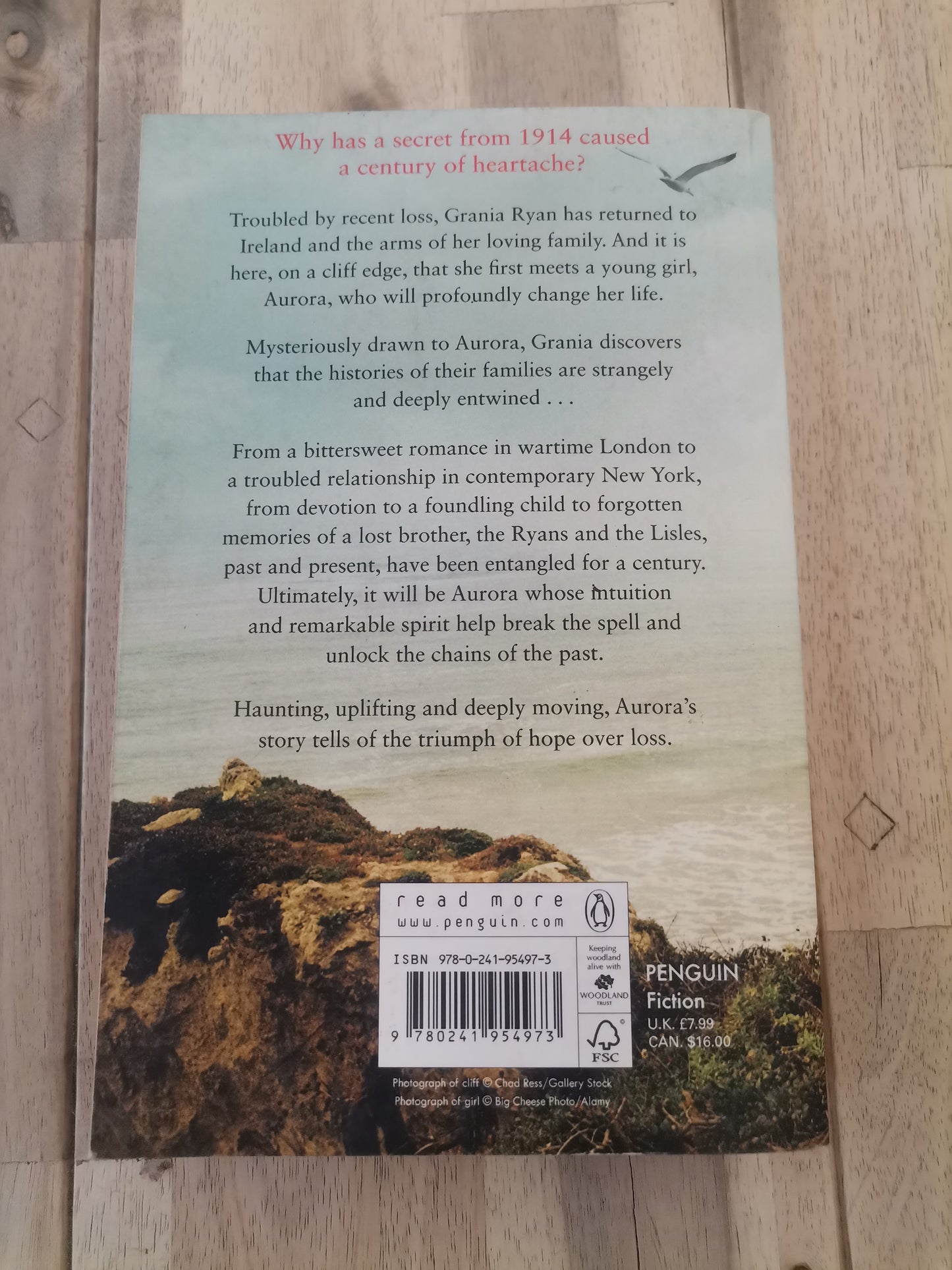 The Girl on the Cliff by Lucinda Riley