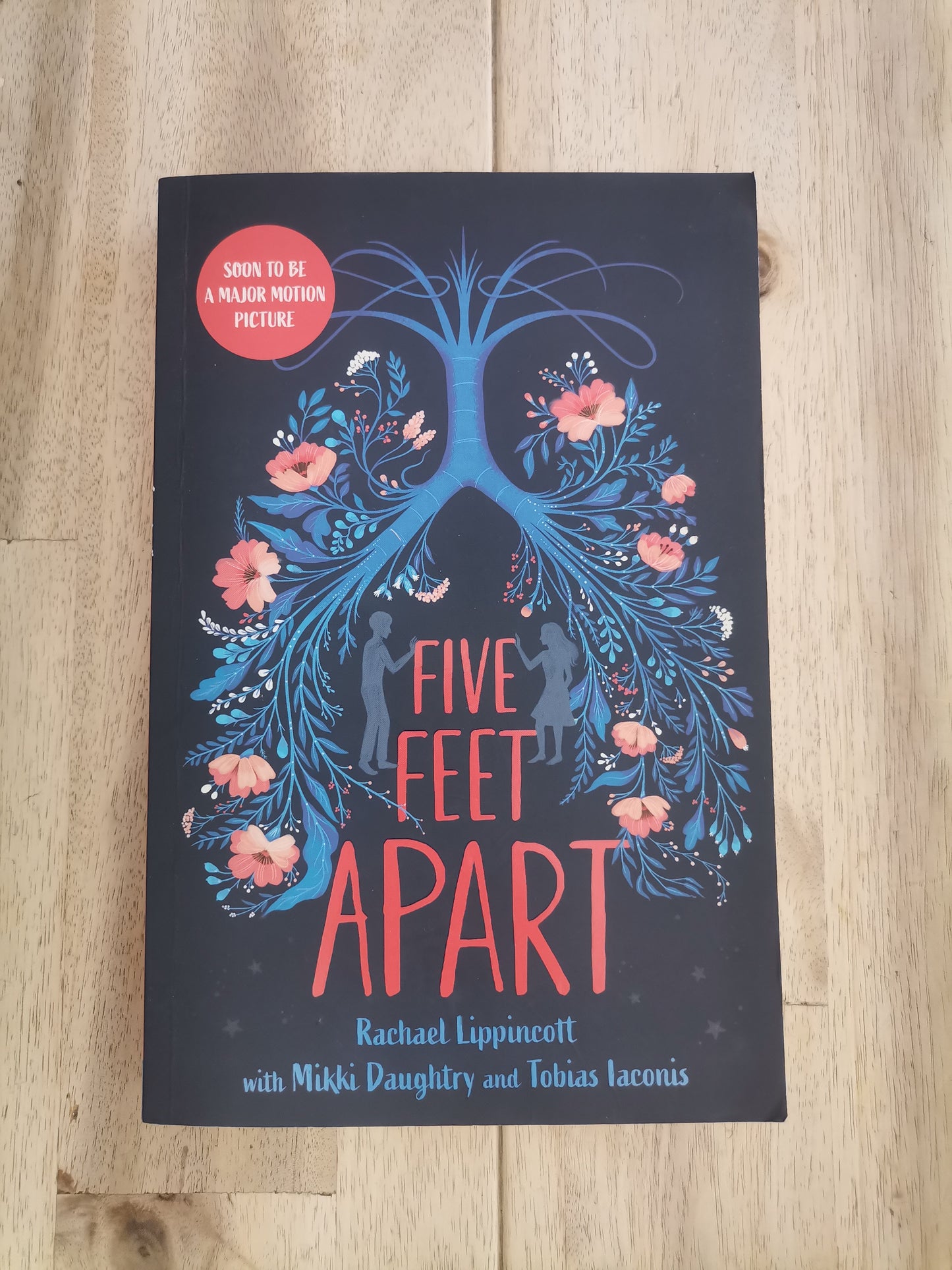 Five Feet Apart by Rachael Lippincott & Mikki Daughtry