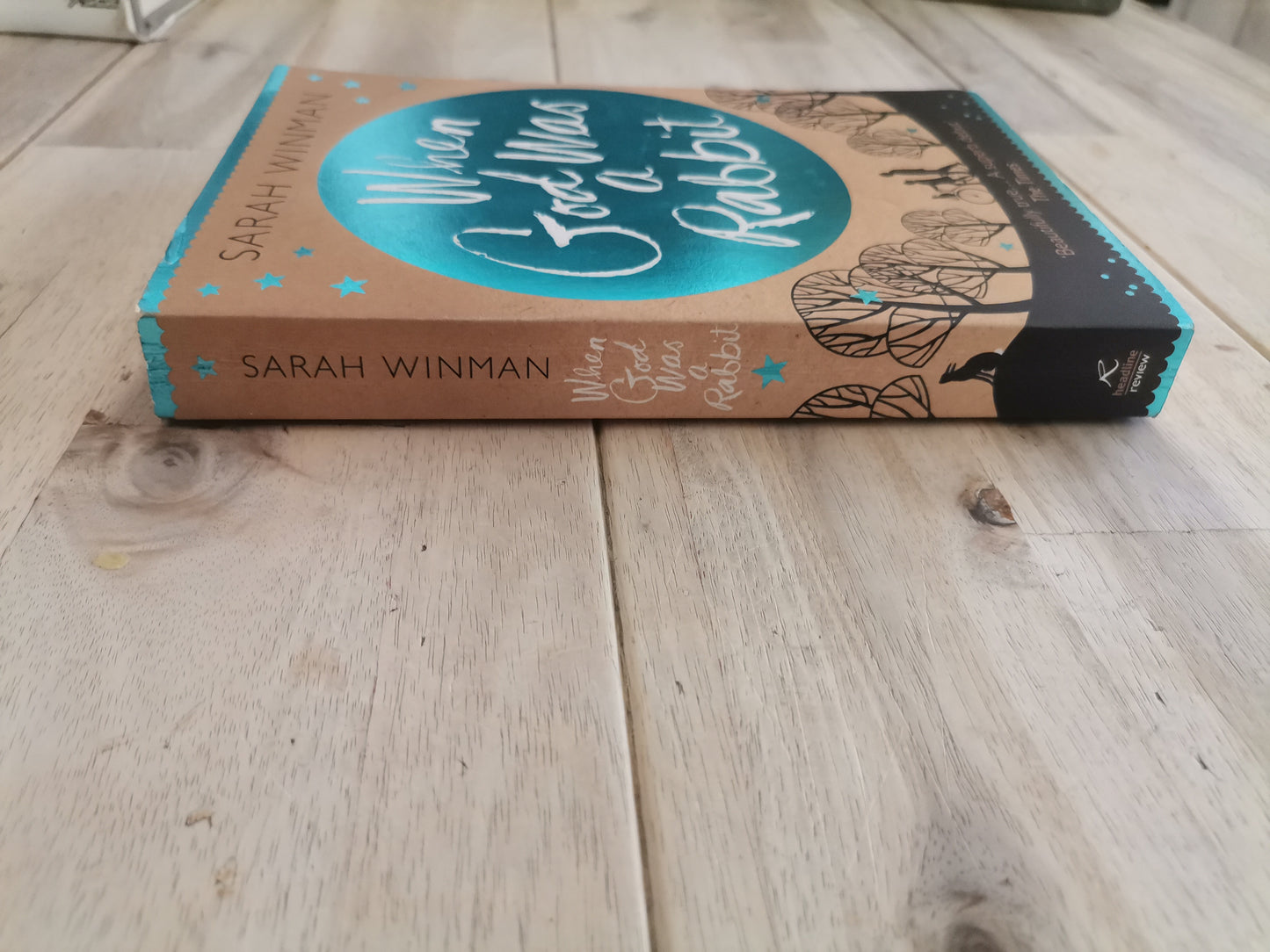 When God Was a Rabbit by Sarah Winman