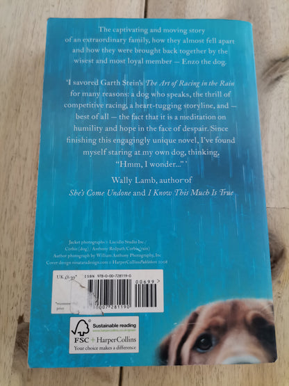 The Art of Racing in the Rain by Garth Stein