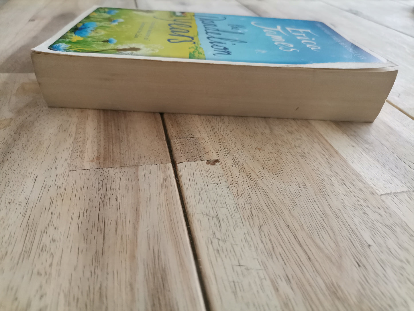 The Dandelion Years by Erica James