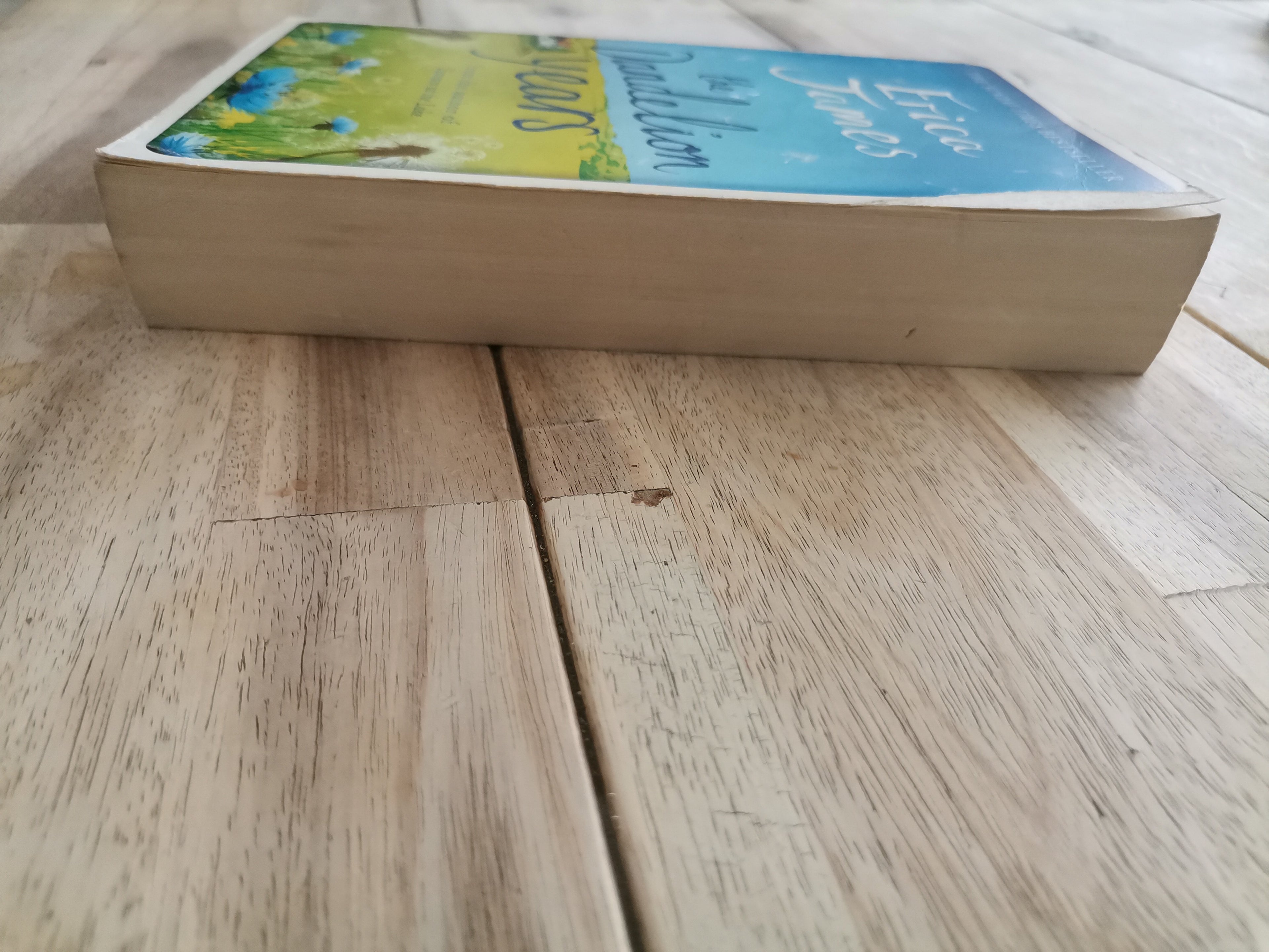 The Dandelion Years by Erica James