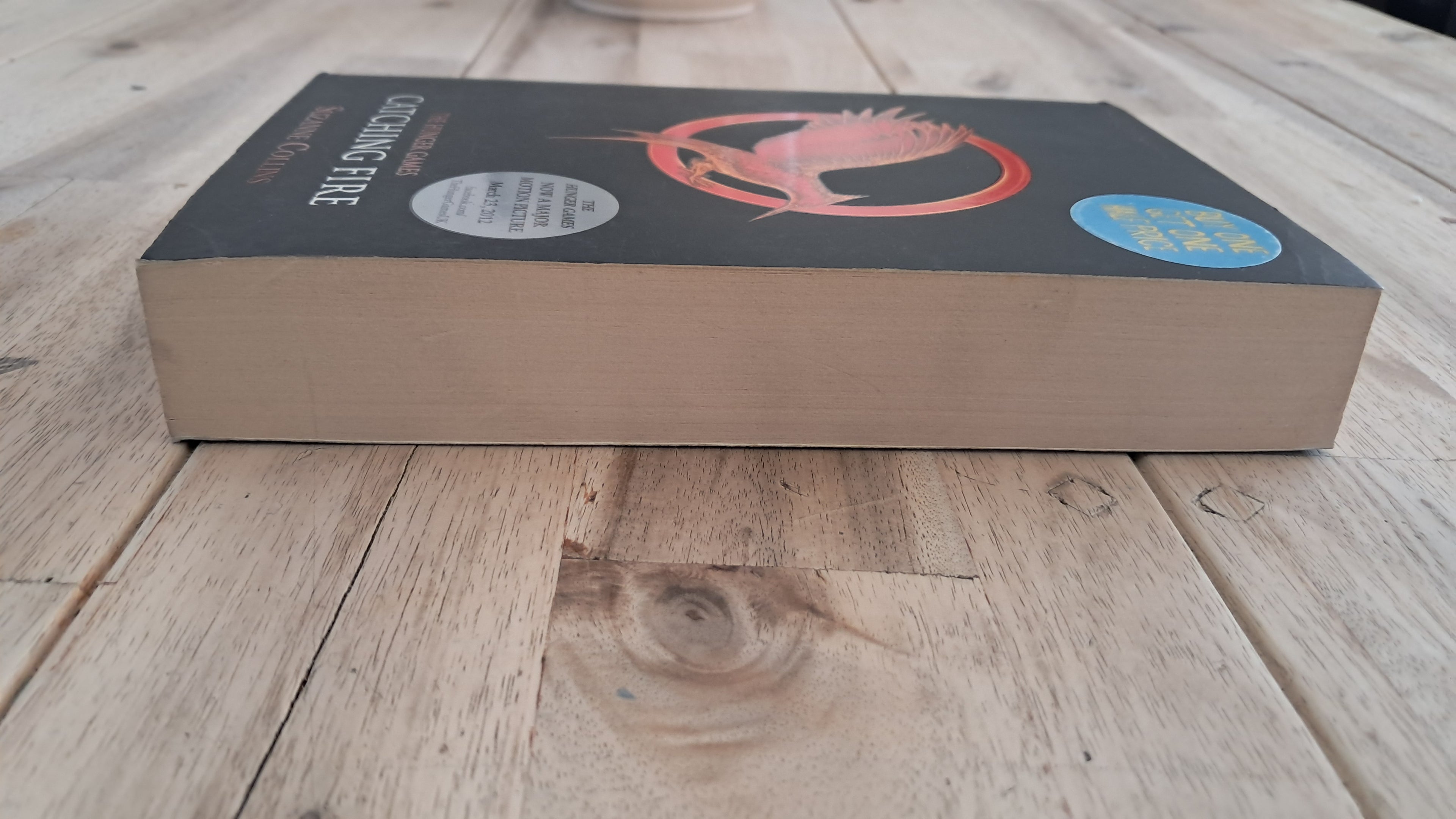 Catching Fire – Suzanne Collins