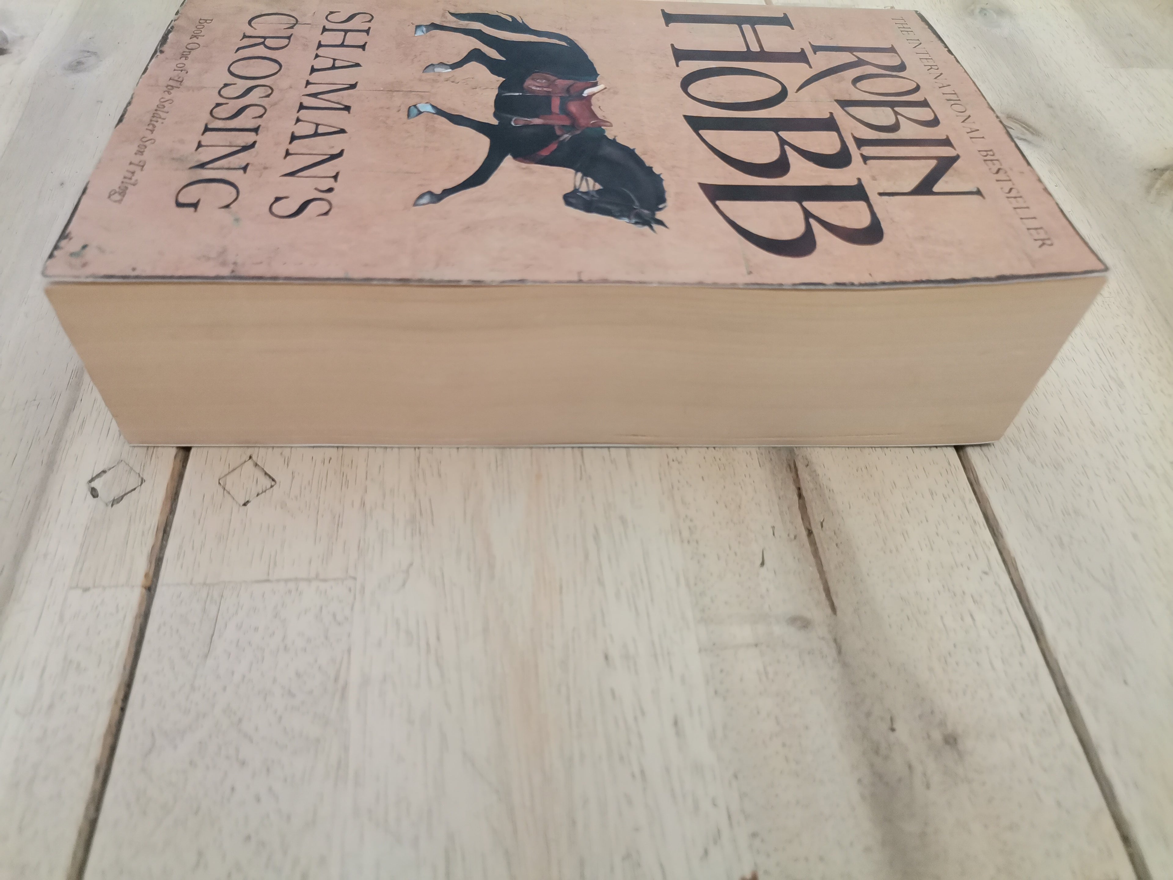 Shaman's Crossing by Robin Hobb, book one of the Soldier's Son trilogy