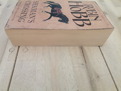 Shaman's Crossing by Robin Hobb, book one of the Soldier's Son trilogy