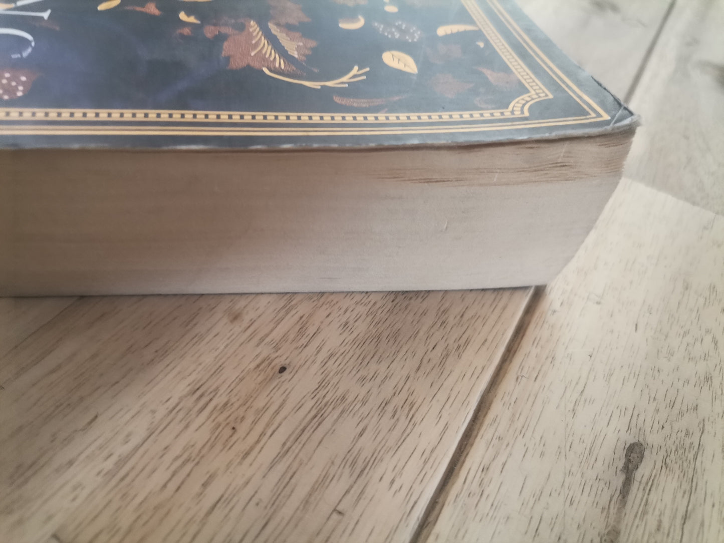 The Binding - Bridget Collins (Paperback)