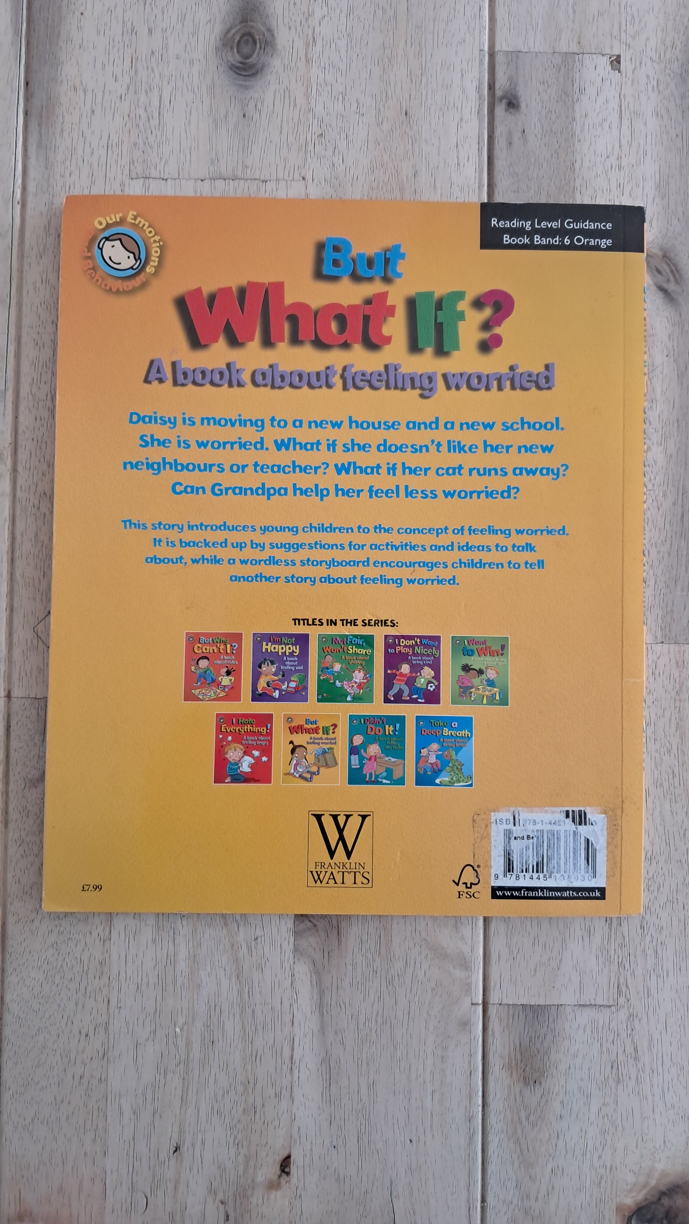But What If? A Book About Feeling Worried – Sue Graves