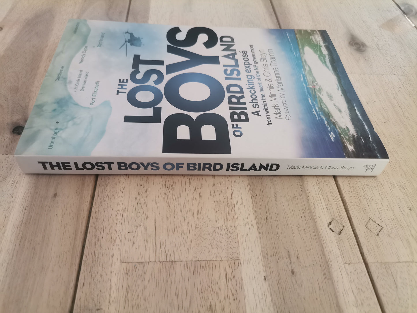 The Lost Boys of Bird Island by Mark Minnie and Chris Steyn