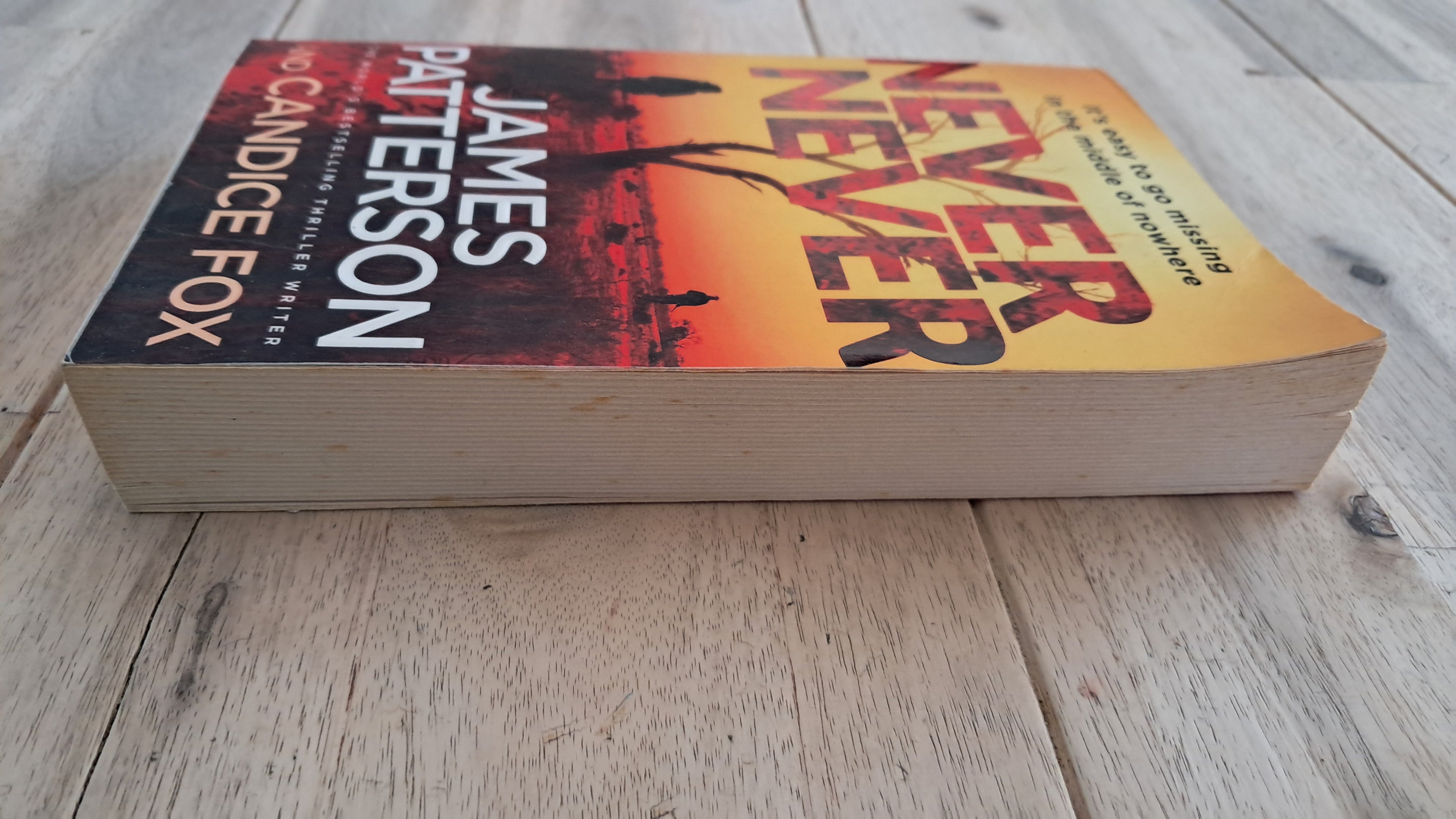 Never Never – James Patterson & Candice Fox