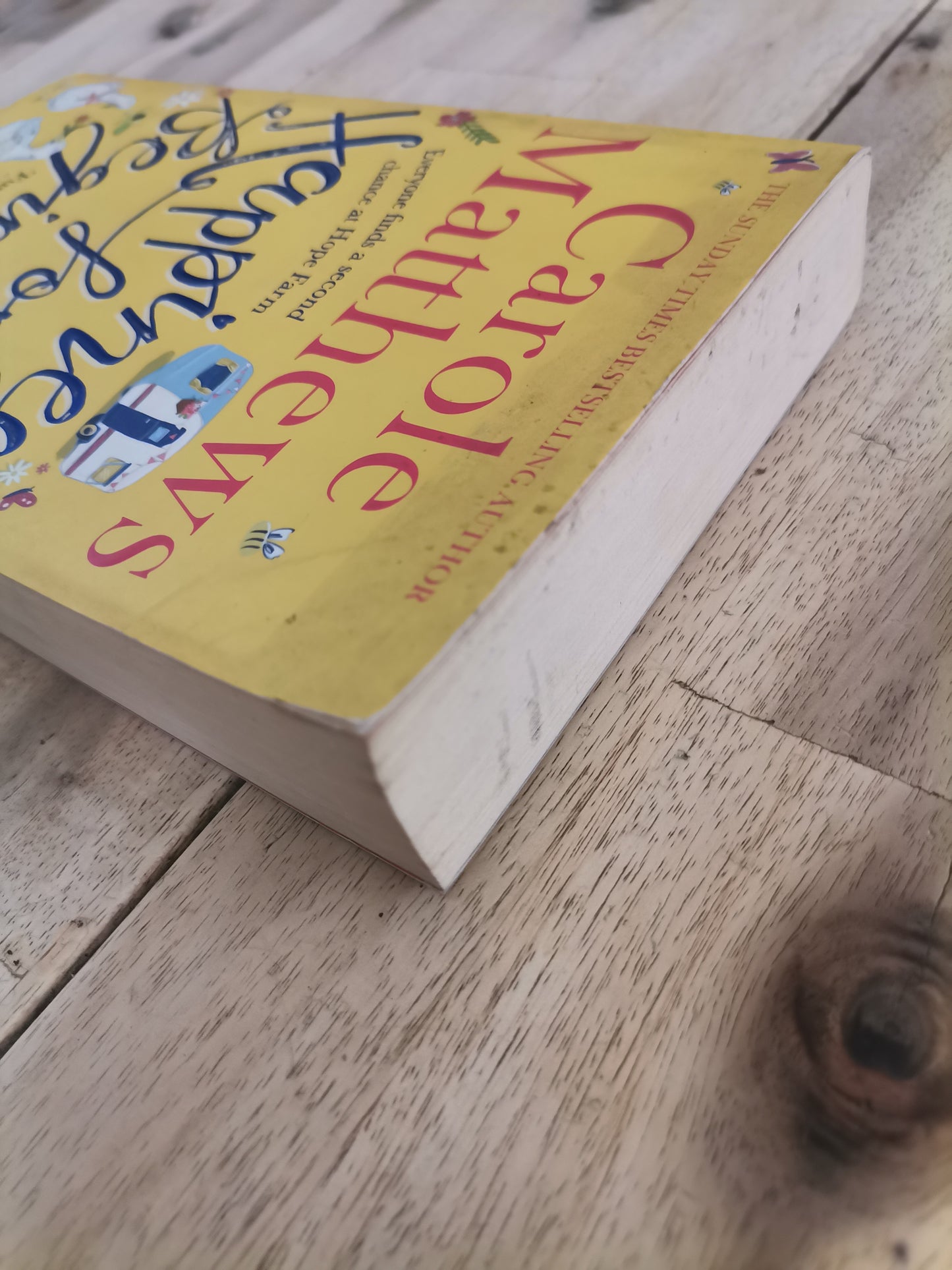 Happiness for Beginners – Carole Matthews