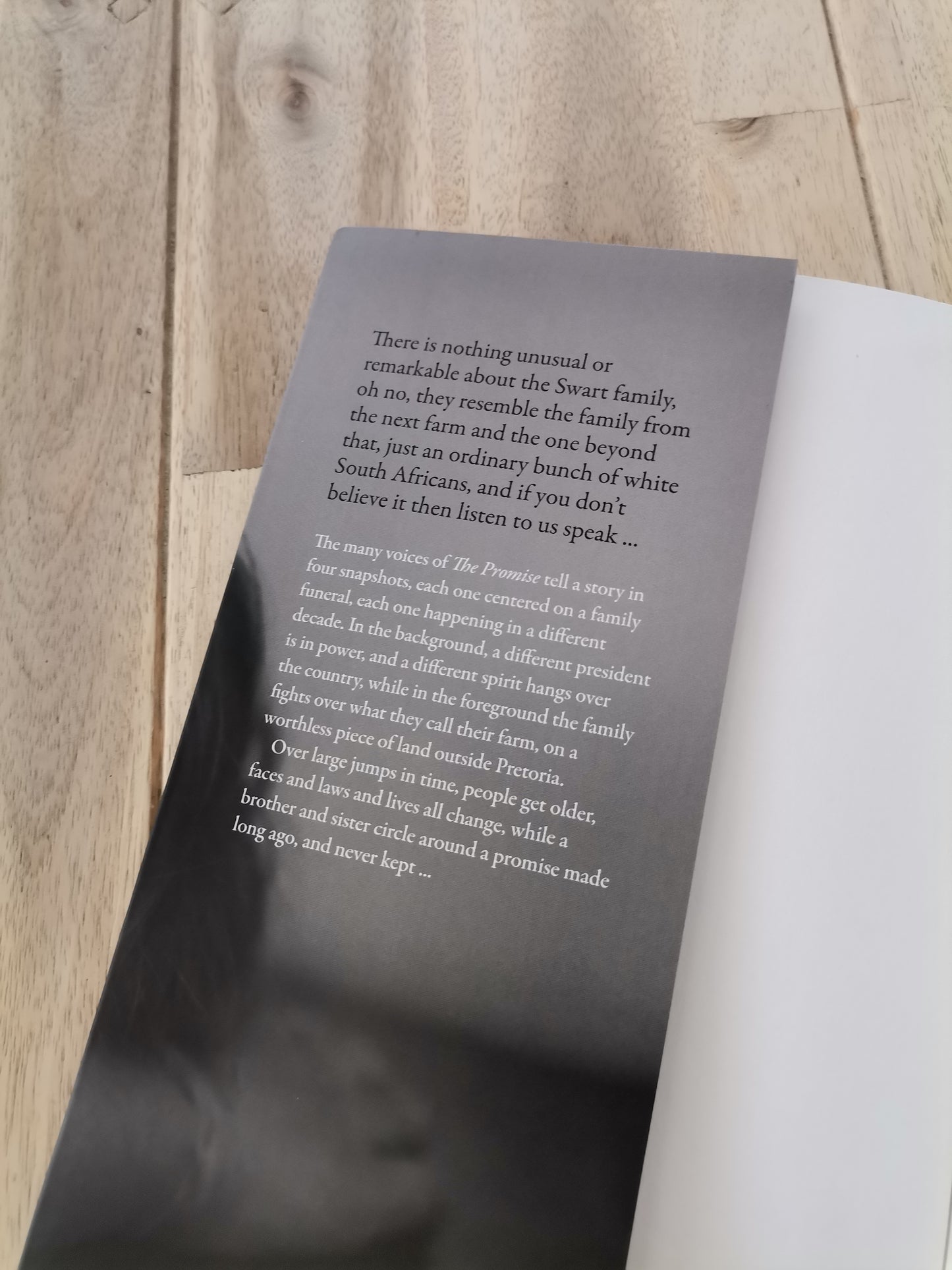 The Promise – Damon Galgut