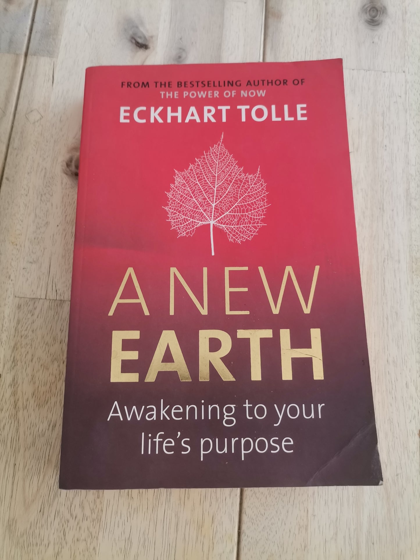 A New Earth by Eckhart Tolle