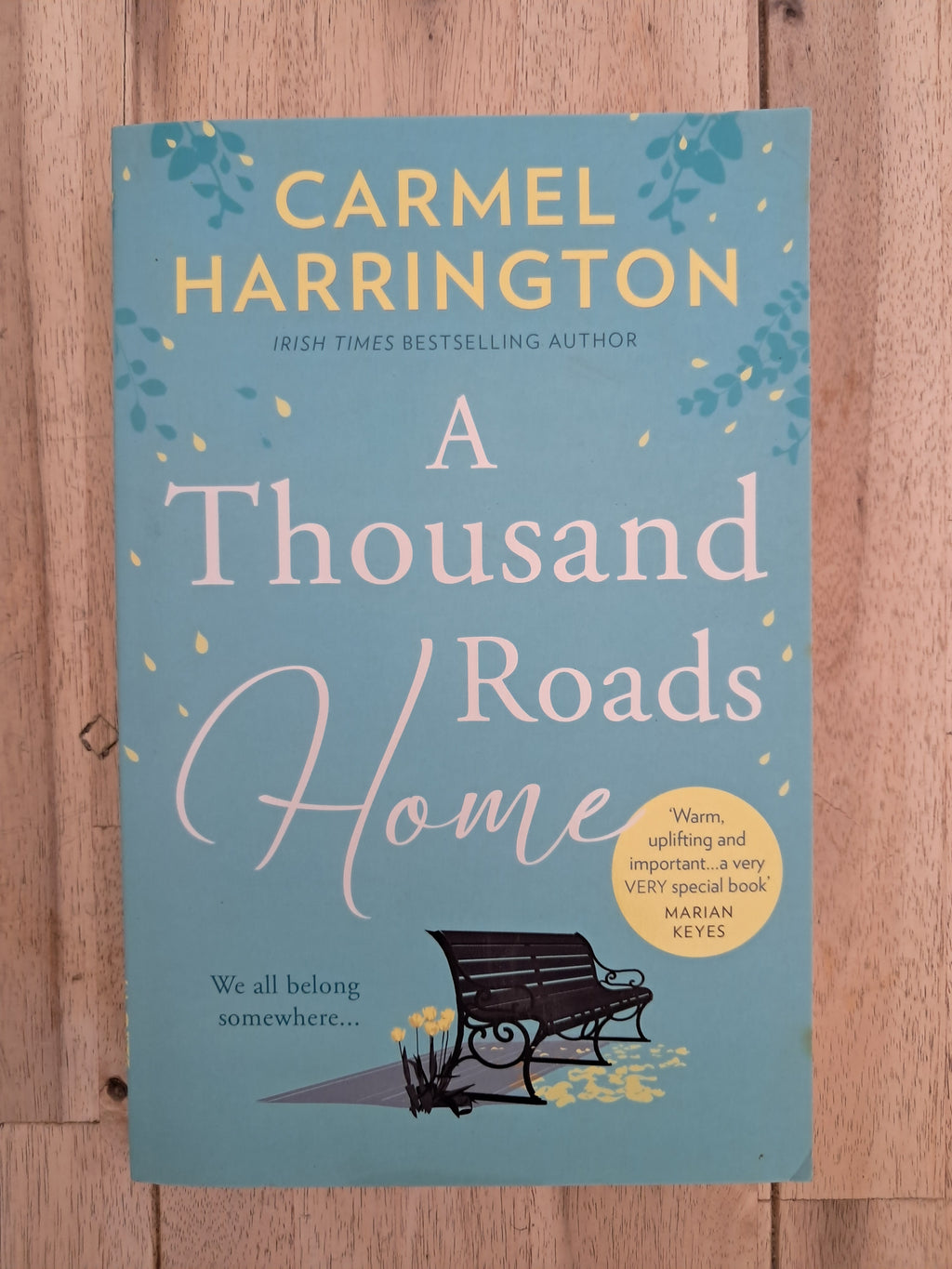 A Thousand Roads Home – Carmel Harrington