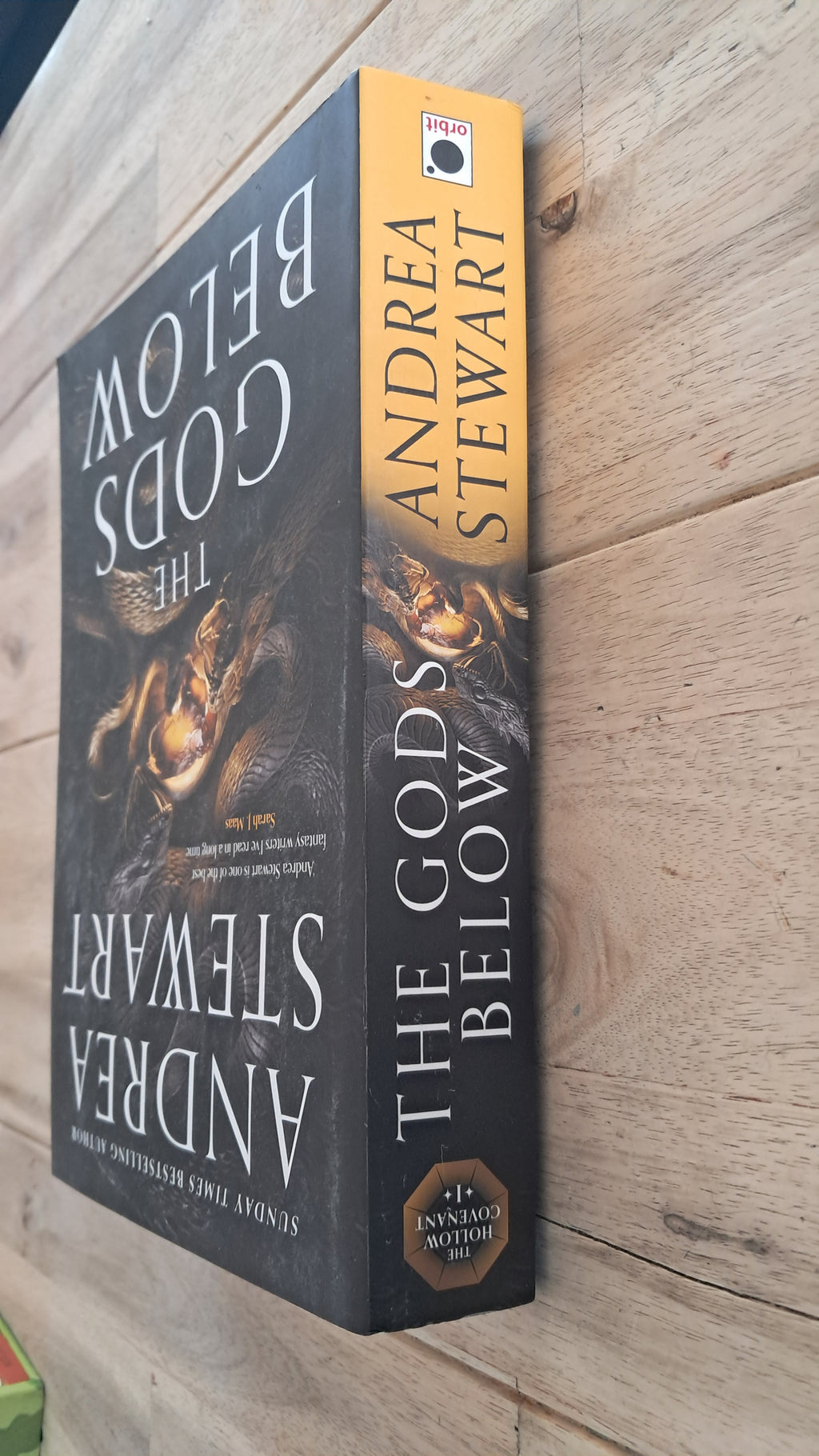 The Gods Below – Andrea Stewart