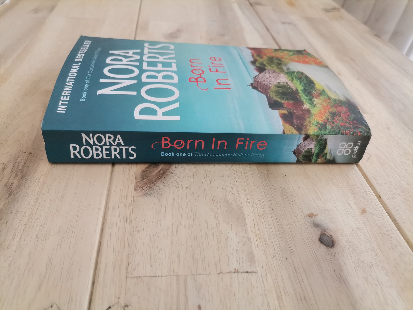 Born in Fire by Nora Roberts (Irish Born Trilogy #1)