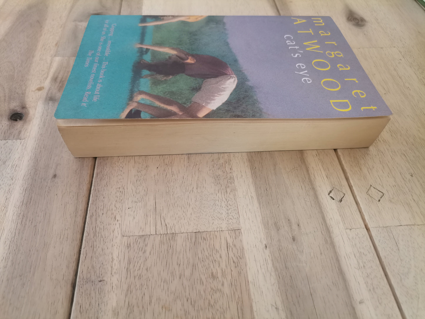 Cat's Eye by Margaret Atwood