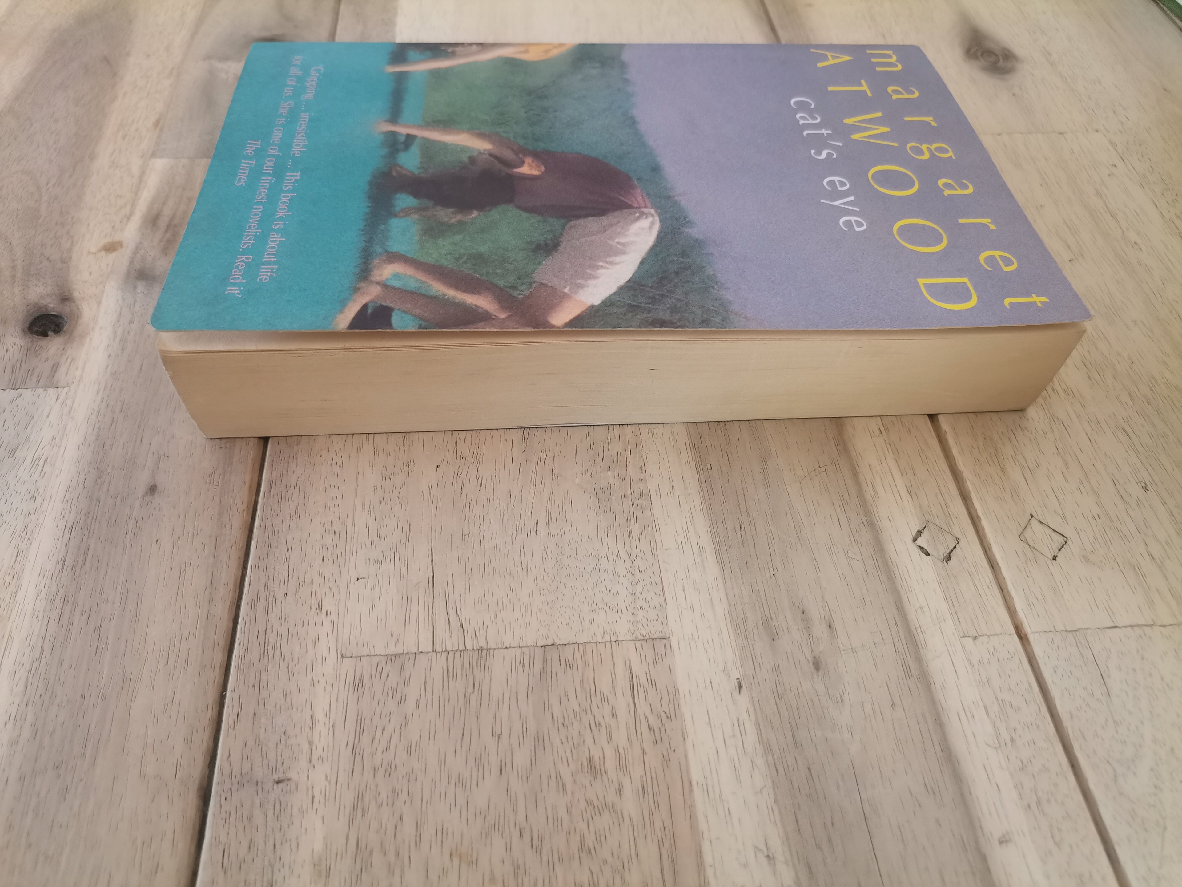 Cat's Eye by Margaret Atwood