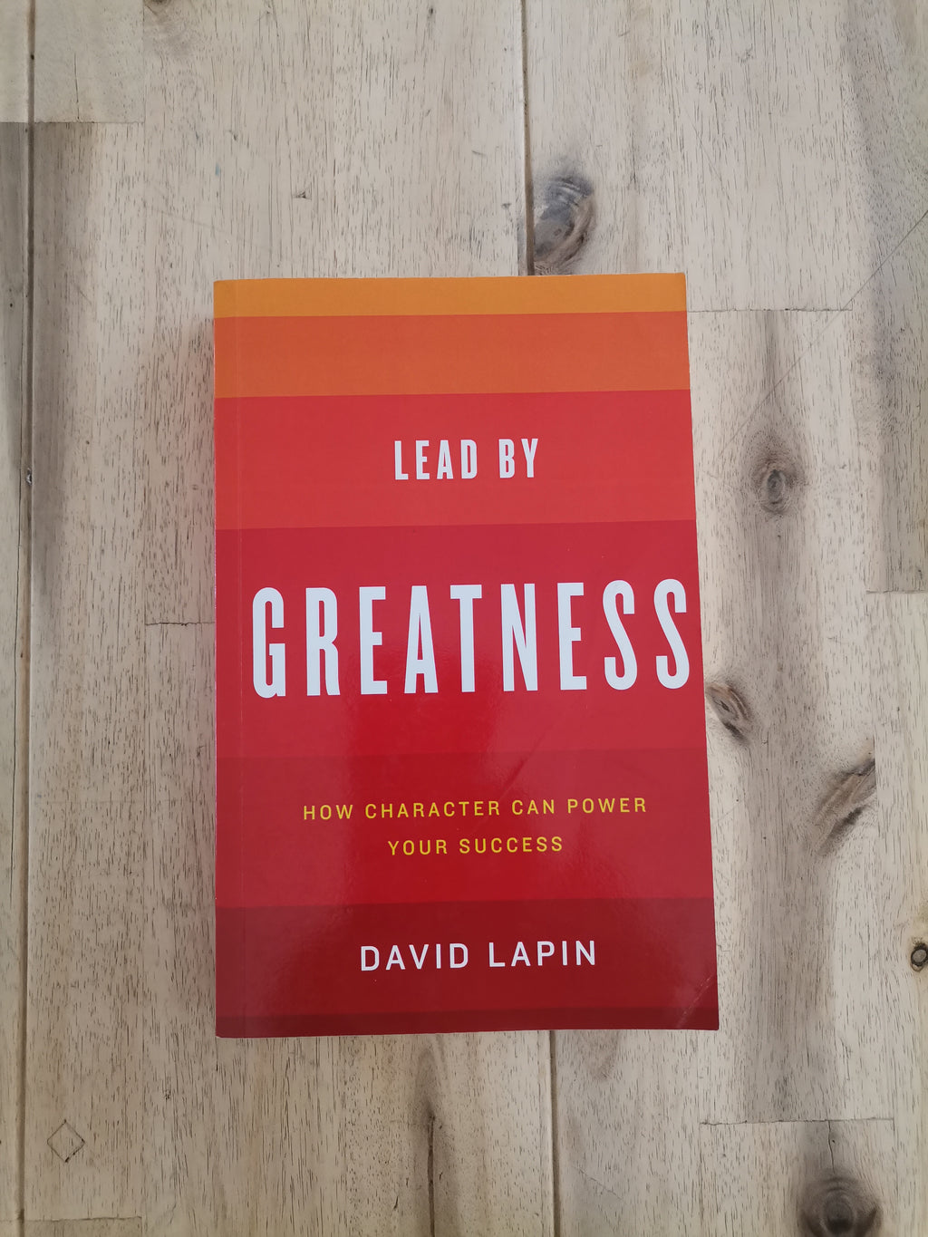 Lead by Greatness – David Lapin