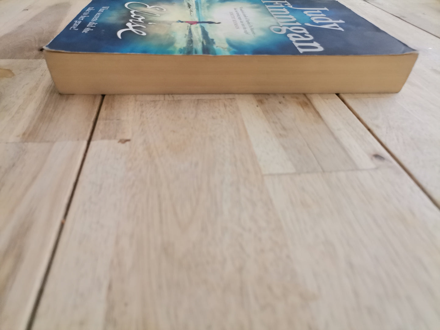 Eloise by Judy Finnigan