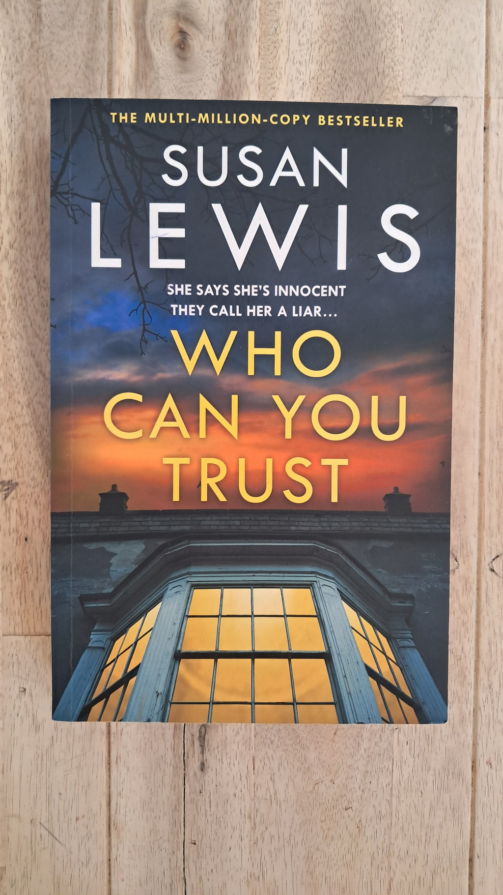 Who Can You Trust? – Susan Lewis