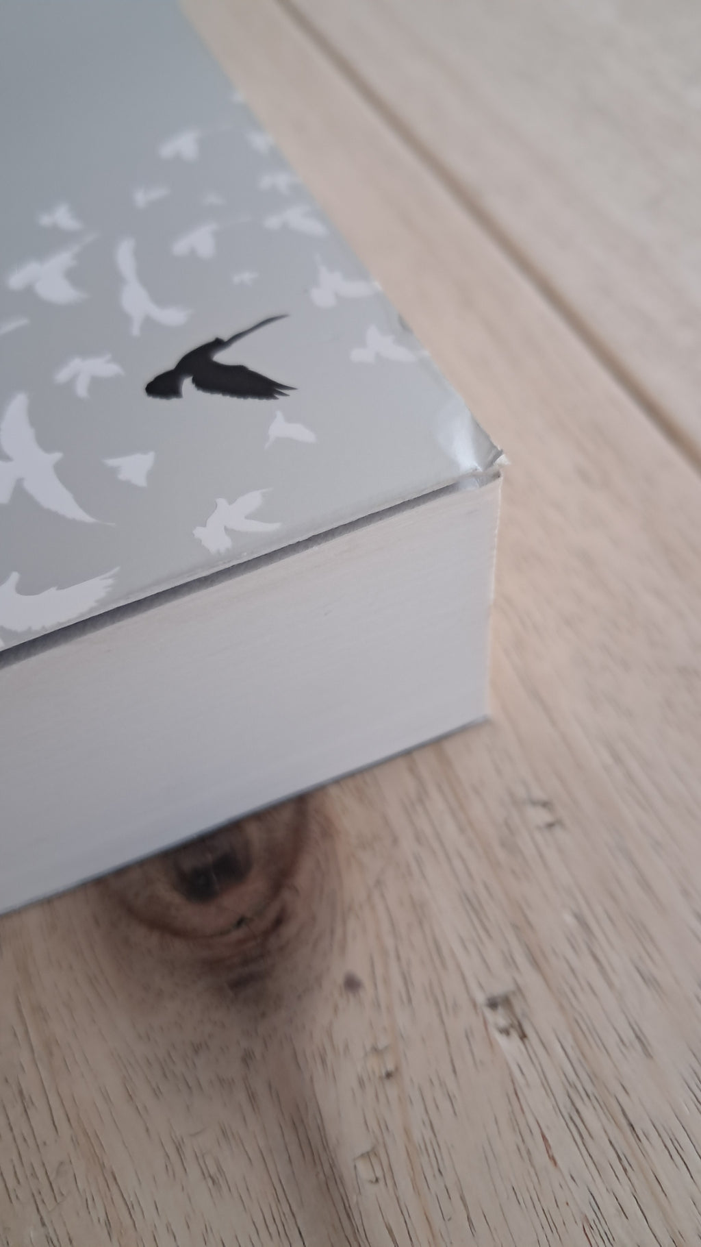 Apeirogon – Colum McCann