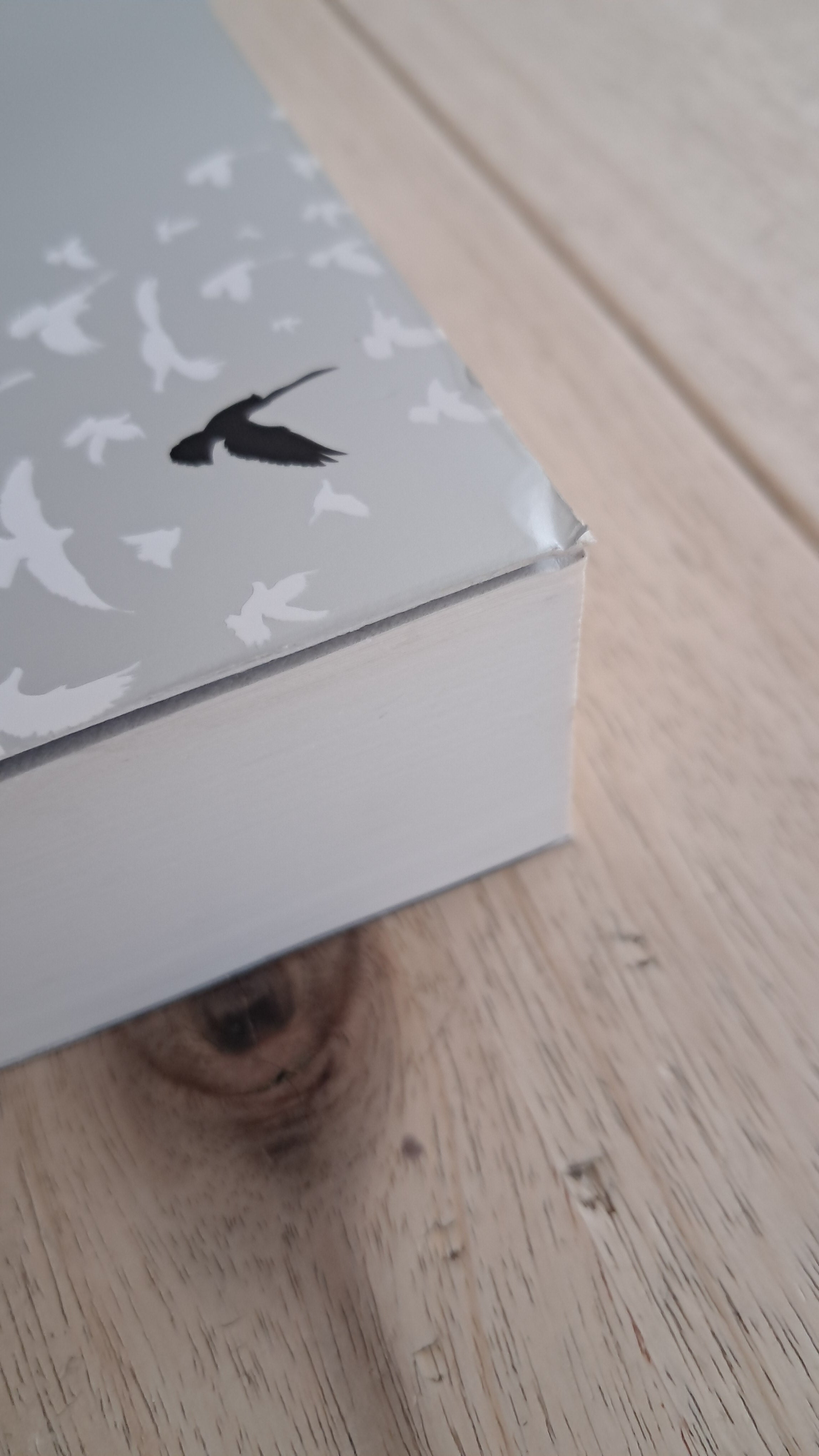 Apeirogon – Colum McCann