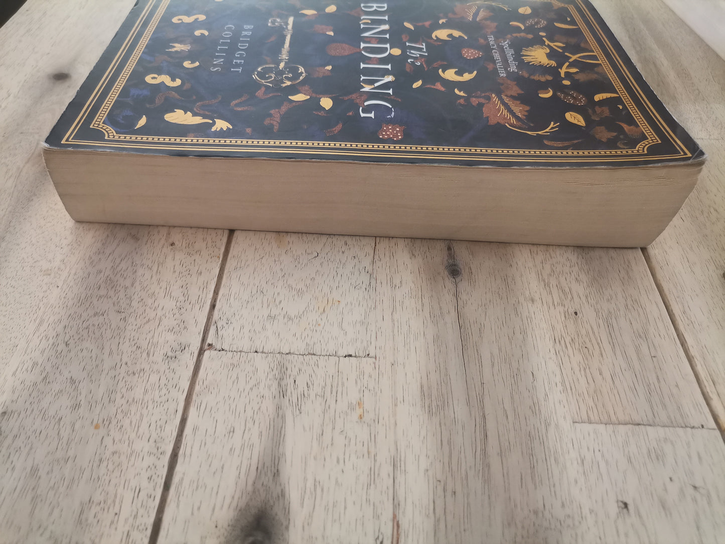 The Binding - Bridget Collins (Paperback)