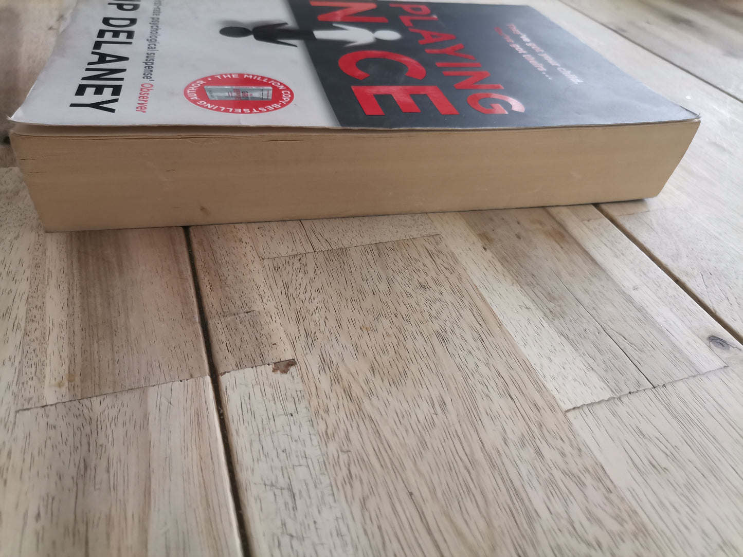 Playing Nice by J.P. Delaney