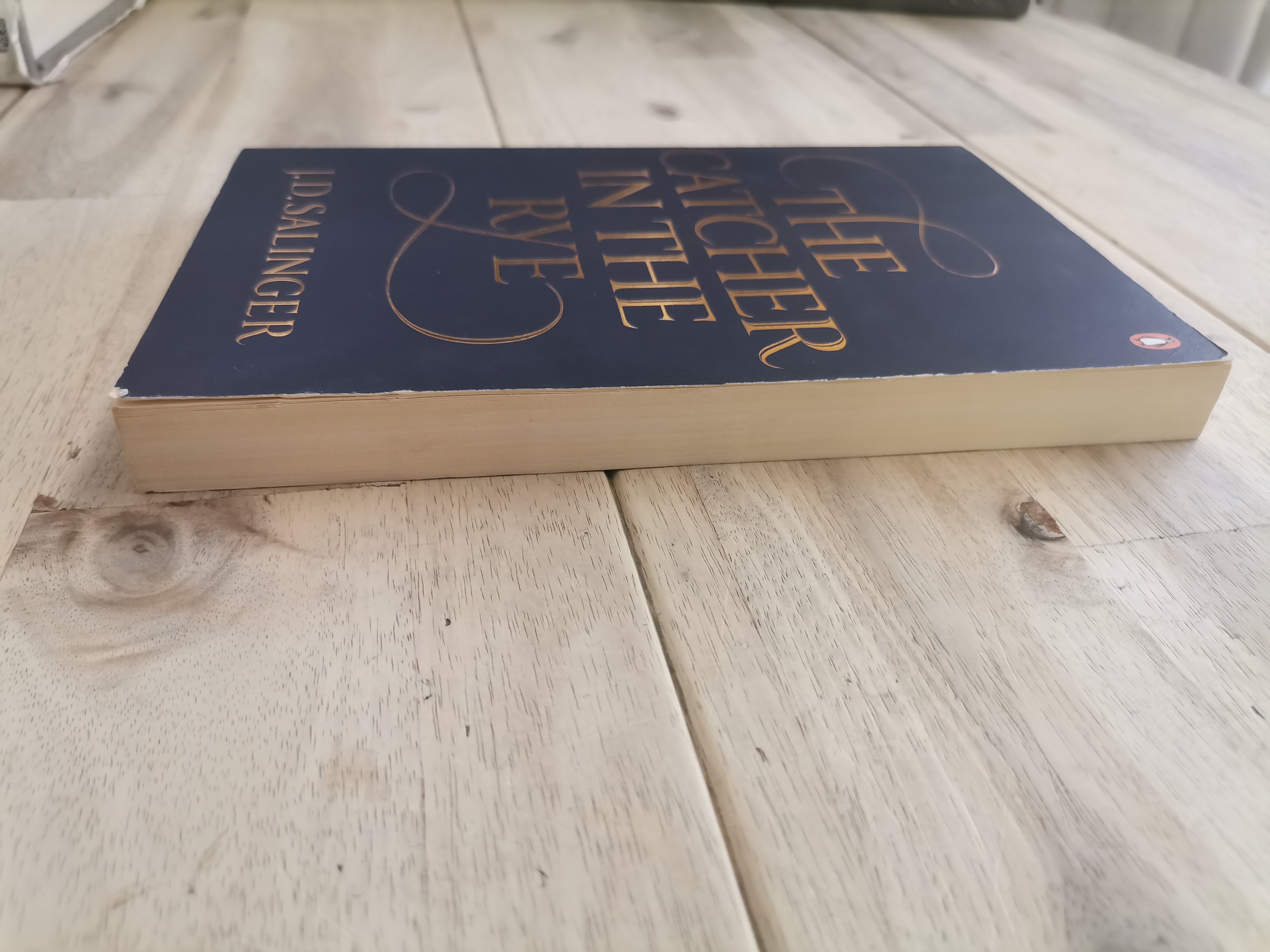 The Catcher in the Rye by J.D. Salinger