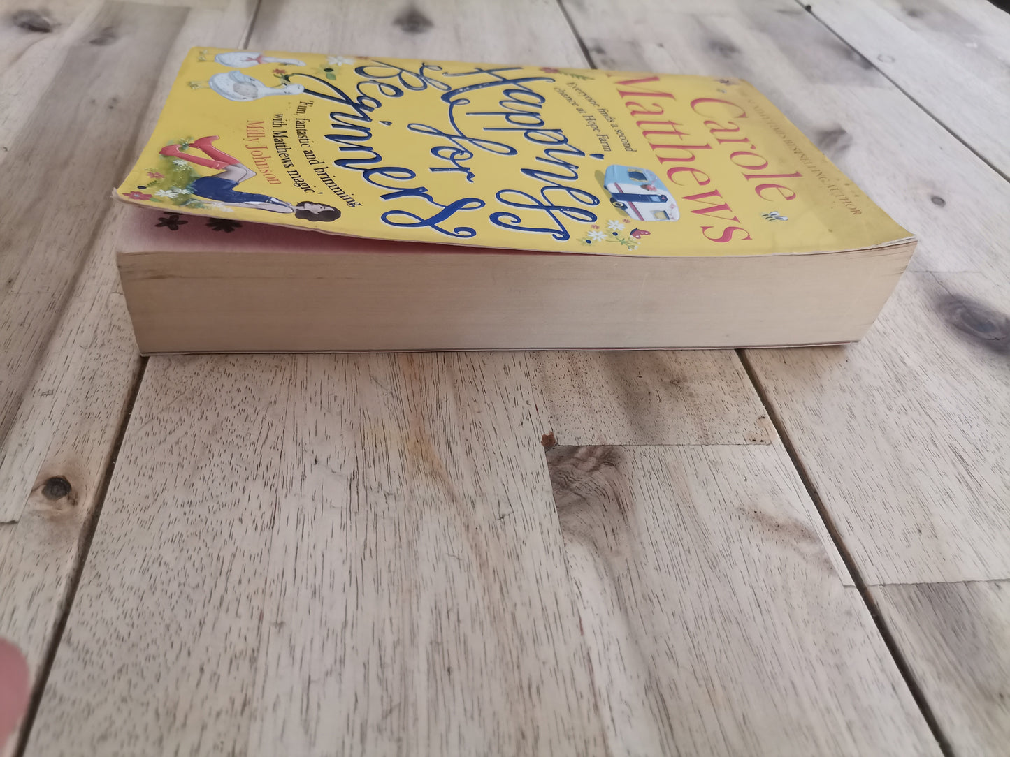 Happiness for Beginners – Carole Matthews