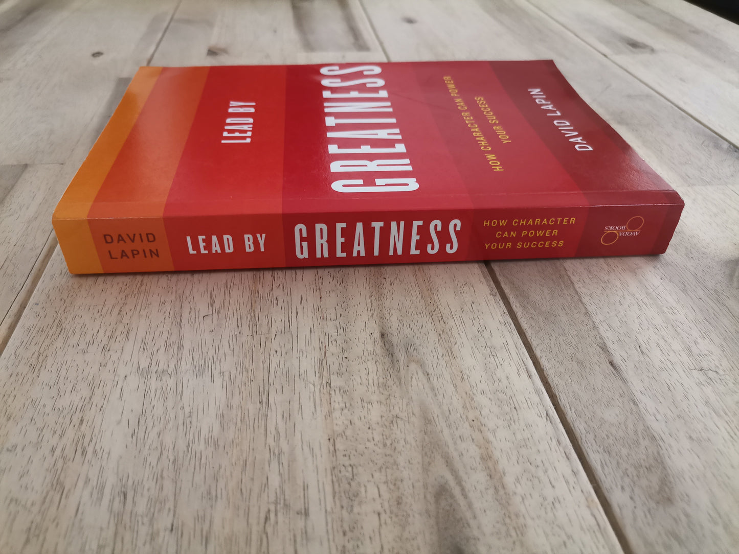 Lead by Greatness – David Lapin