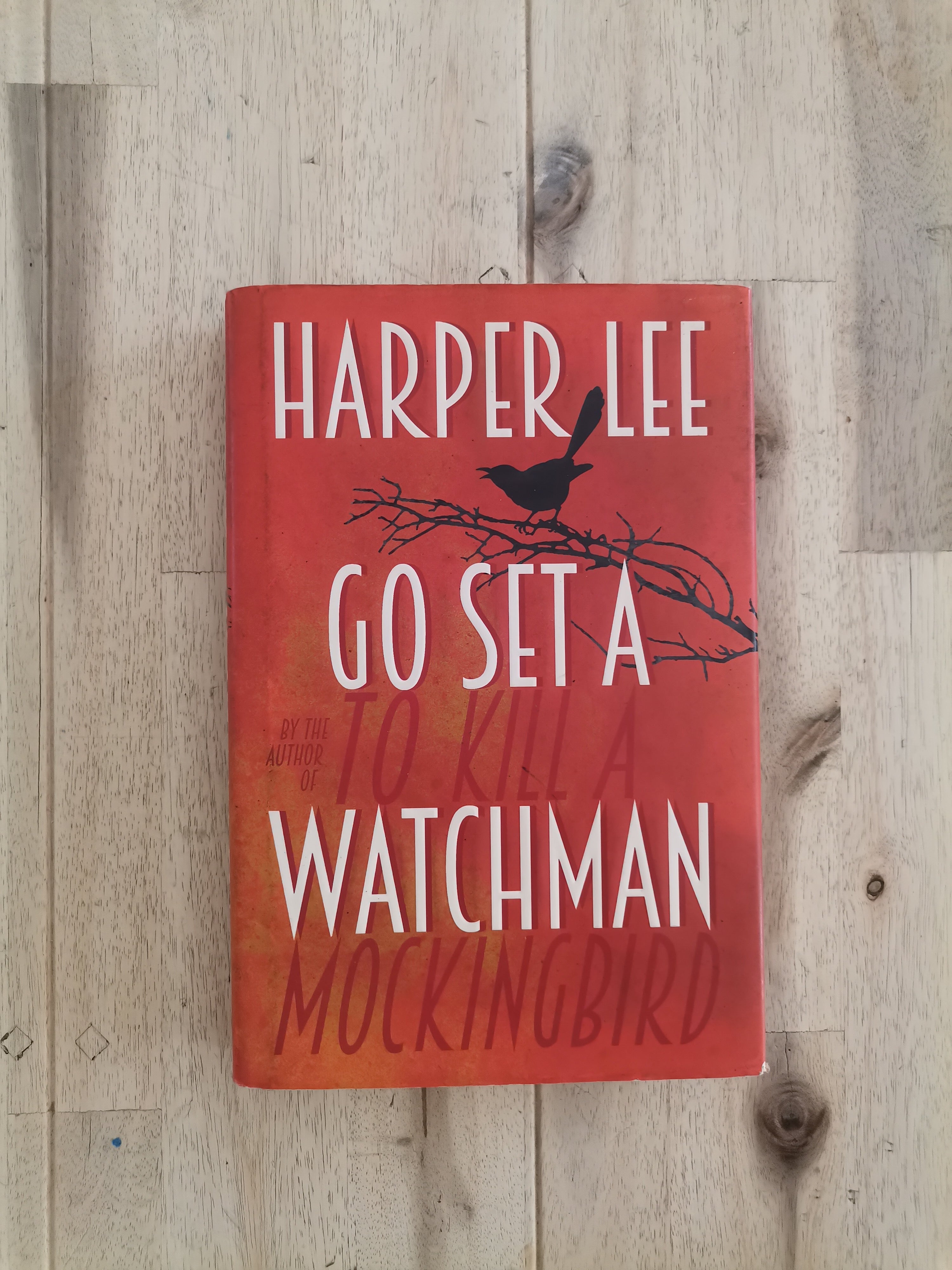Go Set a Watchman – Harper Lee